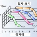 By 주
