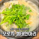 오로지생태한마리 | 세종 어진동 점심맛집 오로지 생태한마리 세종호수공원 세종도서관 근처 추천 식당