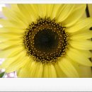 열린행복홈스쿨 이미지