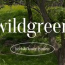 와일드그린 이미지