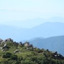 제436차 정기산행안내....덕유평전 산상화원 자연의 미덕을 간직한 무주 덕유산 산행 이미지