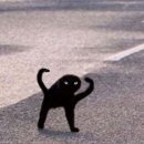 수하 이미지
