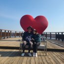 마운틴카워시 | 하이원 리조트 가볼만한 곳 추천 정선 카지노 케이블카 마운틴콘도 후기