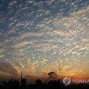 구름하나