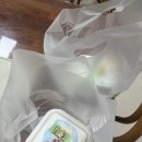 팔레트베이킹