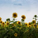 해남농장 이미지