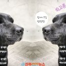 학교종이 댕댕댕 이미지