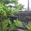 옛집민박 이미지