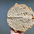 딩켈언덕 이미지