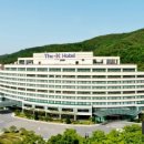 더케이트래블