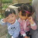 마망엘리펀트 네이버블로그