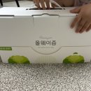 가족이 같이 마시는 올웨이즙 양배추즙 데일리 후기