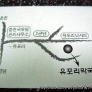 유포리막국수 Daum카페