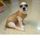 멍이와냥이 이미지