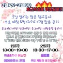 서귀포 신시가지 벚꽃축제 행사 이미지