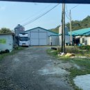 이영재농장 이미지