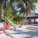 몰디브커피 이미지