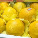 참좋은몰 이미지