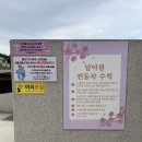 담아봄 풀빌라 이미지