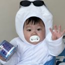 베니비디비치