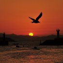 앵산약수터 이미지