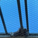 망상농장 이미지