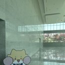 2024100342 남우정 이미지