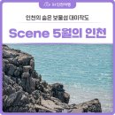 랜선트래킹: 걷고 싶은 한국의 아름다운 산길 | [Scene: 5월의 인천] 세상에서 제일 쉬운 당일치기 섬 트레킹은 바로 여기, 인천 대이작도