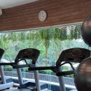 요가(오후) 이미지