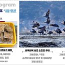 순천만정원하우스 이미지