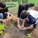 군포중학교 이미지
