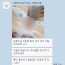 멍멍아학교가자 (대명점) 이미지