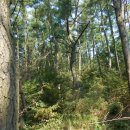 가제산 정상 이미지