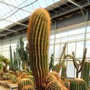 선인장관광농원