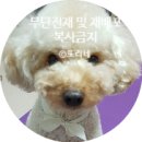 큰마당순대국 이미지