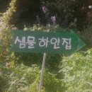 샘물하얀집