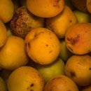 매실떡갈비 이미지