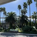 더쉼효소 이미지