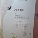 수다쟁이숲어린이집 이미지
