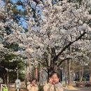 이정카센타 이미지