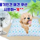 풍기인견 이미지