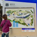 (재)청솔박물관나주곰탕 | 과천 국립과학관 초등 겨울방학 가볼 만한 곳