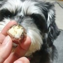 듀얼베이크 이미지