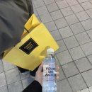 프리미엄 펫토리 이미지