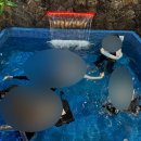 용인 더머물다 파티룸 내돈내산 후기! (주차, 사용안내 등)