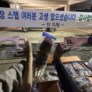 사비로 이미지
