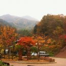 유봉여자중학교 이미지