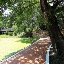 영천 연정 고택 이미지