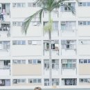 디에이드 이미지