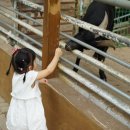 우촌 농장 이미지